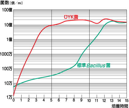 標準菌(×2万倍)